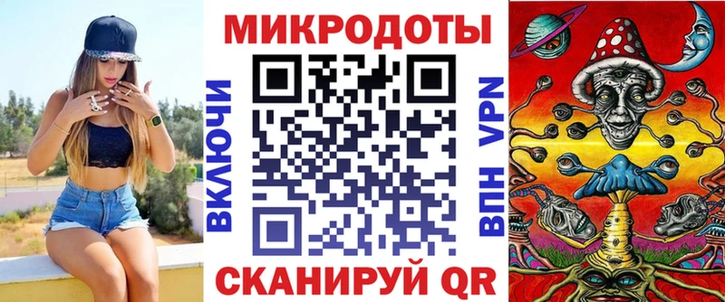 блэк спрут tor Ковров Псилоцибиновые грибы Psilocybine cubensis