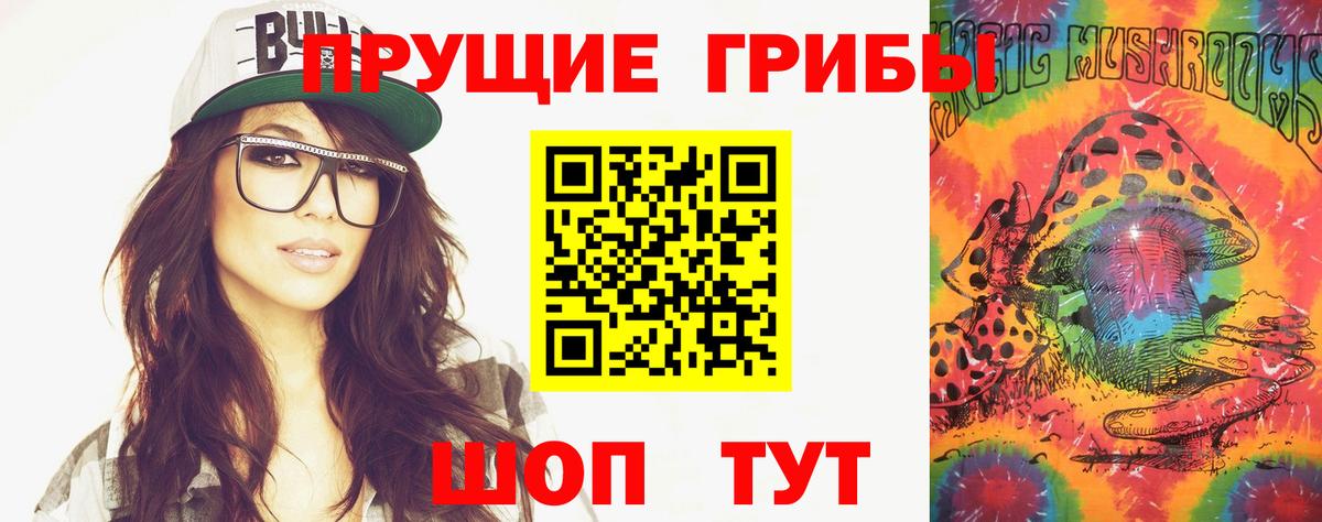 Псилоцибиновые грибы Cubensis Ковров