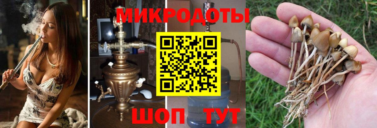 Псилоцибиновые грибы Magic Shrooms  Вход с VPN  Псилоцибиновые грибы Psilocybine cubensis  Ковров 